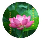 ���ֹ�,�����󷨵��ӹ�ףʦ�������(22��)