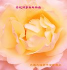 ���ֹ�,�����󷨵��ӹ�ףʦ�������(19��)