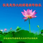 ���ֹ�,�����󷨵��ӹ�ףʦ�������(22��)