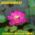 ���ֹ�,�����󷨵��ӹ�ףʦ�������(22��)