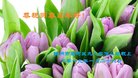 ���ֹ�,���ݴ󷨵��ӹ�ףʦ�������(25��)