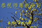 ���ֹ�,�����󷨵��ӹ�ףʦ�������(25��)