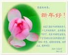 ���ֹ�,�����󷨵��ӹ�ףʦ�������(22��)