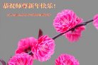 ���ֹ�,�����󷨵��ӹ�ףʦ�������(18��)