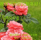 ���ֹ�,�ȷ��󷨵��ӹ�ףʦ�������(24��)