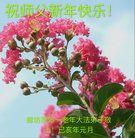 ���ֹ�,�ȷ��󷨵��ӹ�ףʦ�������(24��)