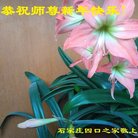 ���ֹ�,ʯ��ׯ�󷨵��ӹ�ףʦ�������(25��)