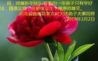 ֹ,ӱ󷨵ӹףʦ(20)
