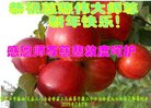 ֹ,żҿڴ󷨵ӹףʦ(26)