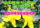ֹ,żҿڴ󷨵ӹףʦ(20)
