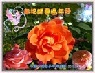 ���ֹ�,�����󷨵��ӹ�ףʦ�������(31��)