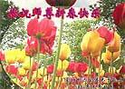 Published on 2/4/2003 加拿大蒙特利尔大法弟子恭祝师尊新春快乐