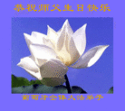Published on 5/14/2005 		海外大法弟子恭贺师尊华诞暨第六届世界法轮大法日（3）
