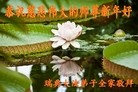 ֹ,󷨵ӹףʦ
