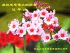 ֹ,䡢Ųȱŷ󷨵ӹףʦ

