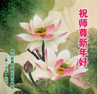 ���ֹ�,������ʢ�١�ŦԼ����ʿ�ٵȵش󷨵��ӹ�ףʦ���������
