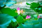 ֹ,˹ڿǡάǡάǴ󷨵ӹףʦ
