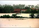 Published on 7/12/2001 The number of people killed by typhoon Ute in China Sea has increased to 46.
