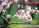 2/1/2003发表.���ϴ󷨵�����ʦ�������´���