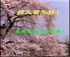 12/30/2003发表.�й���½��160�ش󷨵��ӷ������Ź�ףʦ�������
