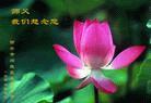 1/21/2004发表.�й���½��330�ش󷨵��ӹ�ףʦ�𴺽ںã���ͼ��
