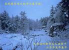 Published on 2/7/2005 		�й���½��200�ش󷨵�����ȱ�ΰ���ʦ�����꣨ͼ��
