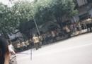 Published on 5/23/2001 99年7月22日中国警察在街头制造的恐怖
