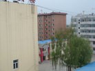 Published on 5/29/2010 ֹ,һ¶ʮմ½ۺϢ - ִ - minghui.org