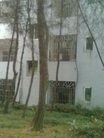 Published on 3/18/2012 ֹ,һʮմ½ۺϢ - ִ
