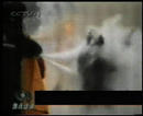 Published on 9/12/2001 对“自焚”录像的一点分析
