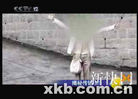 Published on 9/5/2007 从CCTV「终结」网友性命想到的（图）