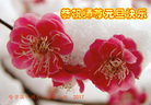 Published on 1/26/2017 ֹ,½󷨵ӹףʦ(26)