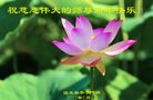 Published on 1/26/2017 ֹ,½󷨵ӹףʦ(26)