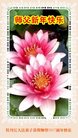 Published on 1/26/2017 ֹ,½󷨵ӹףʦ(26)