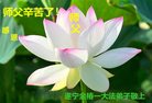 Published on 1/26/2017 ֹ,½󷨵ӹףʦ(26)