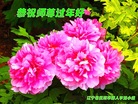 Published on 1/26/2017 ֹ,½󷨵ӹףʦ(26)