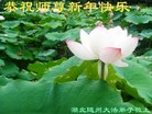 Published on 1/26/2017 ֹ,½󷨵ӹףʦ(26)