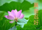 Published on 1/26/2017 ֹ,½󷨵ӹףʦ(26)