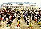 Large Scale Group Practice in Guangzhou 