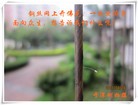 Published on 8/24/2011 法轮功,深圳法轮功学员遭中共迫害纪实（七） - 法轮大法明慧网
