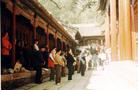 Published on 12/15/2003 On Master Li’s birthday, Falun Gong practitioners from various places in China gathered in Jietai Temple,Beijing and had a group practice