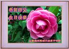 Published on 5/13/2011 ֹ,½󷨵Ӻʦ𻪵߷ִգ13 - ִ
