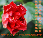 Published on 5/12/2011 ֹ,󷨵Ӻʦ𻪵߷ִգ92أ - ִ
