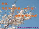 Published on 5/13/2011 ֹ,޴󷨵Ӻʦ𻪵߷ִ - ִ
