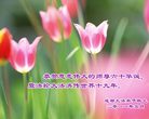 Published on 5/14/2011 ֹ,½󷨵Ӻʦ𻪵߷ִգ35 - ִ
