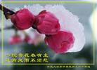 Published on 5/13/2011 ֹ,½󷨵Ӻʦ𻪵߷ִգ28 - ִ
