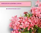Published on 5/13/2012 ֹ,ϵͳ󷨵Ӻʦ𻪵߷ִ - ִ
