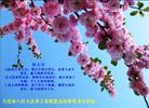 Published on 1/23/2012 ֹ,½󷨵ӹףʦã144 - ִ
