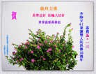 Published on 5/14/2012 ֹ,½󷨵Ӻʦ𻪵߷ִ(61) - ִ

