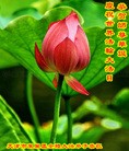 Published on 5/12/2012 ֹ,½󷨵ӹش󷨺鴫ʮ(151) - ִ
